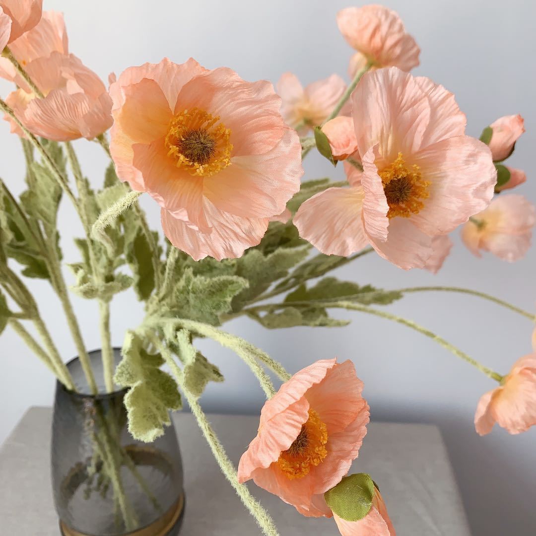 72539ddb4418a66138c6d93748ca89