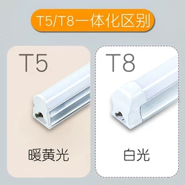 防爆灯;LED装饰灯;投光灯