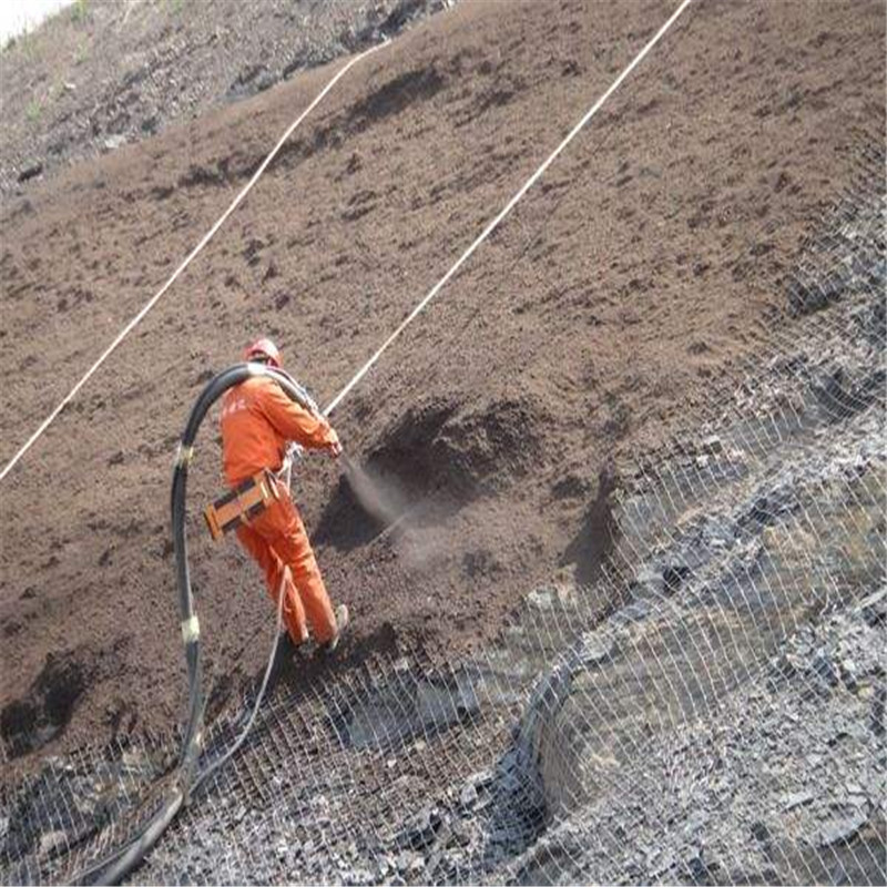 客土喷播铁丝网 山体植草挂网 边坡复绿植被恢复 生态修复铁丝网