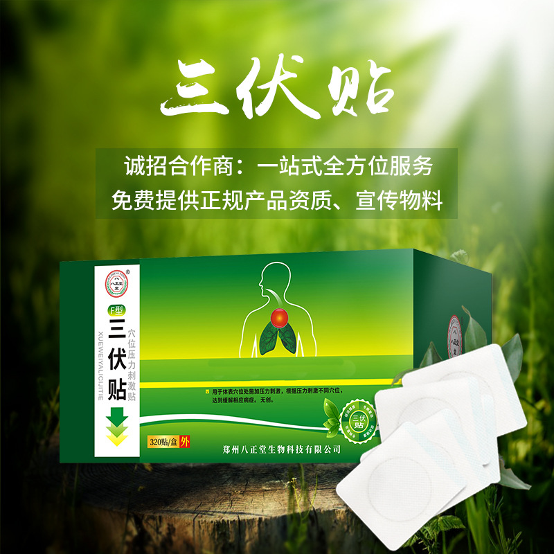 厂家直供一类三伏贴送物料发热穴位刺激贴冬患夏调三伏贴OEM代工