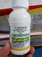 芸苔素內酯24表芸苔素抗逆辣椒小麥水稻果樹0.01%芸苔素內酯水劑