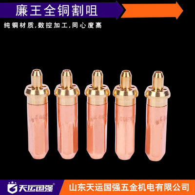 割咀g01-30/100/ 300 全铜环形 氧气乙炔割嘴 梅花丙烷煤气焊割炬