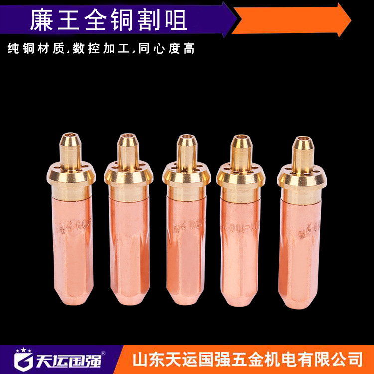 割咀g01-30/100/ 300 全铜环形 氧气乙炔割嘴 梅花丙烷煤气焊割炬