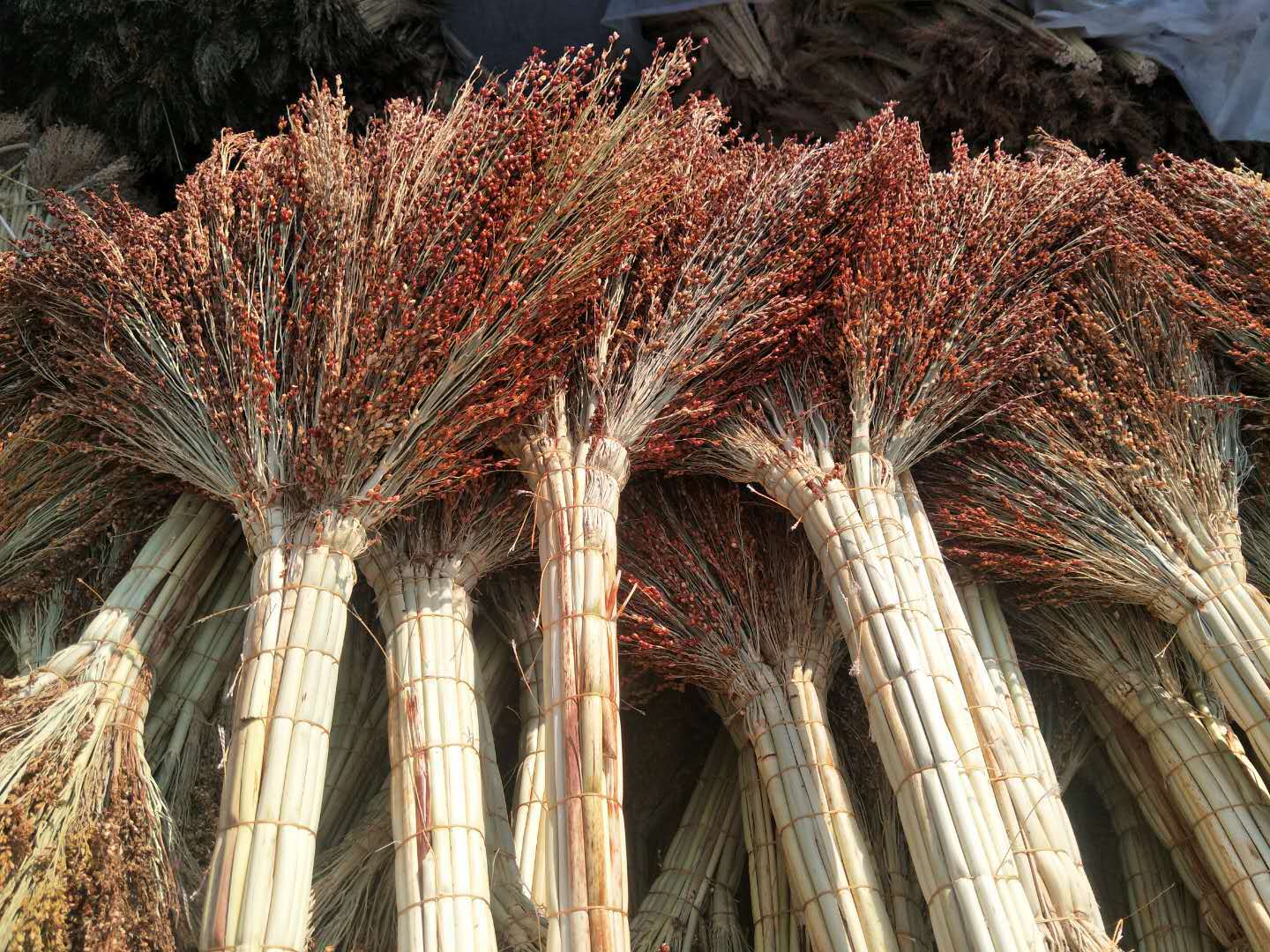 微信图片_20200507222454