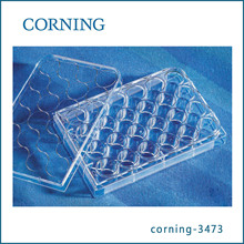 ���� Corning 3473 24�׳�������΢�װ壬���ǣ�������װ����*