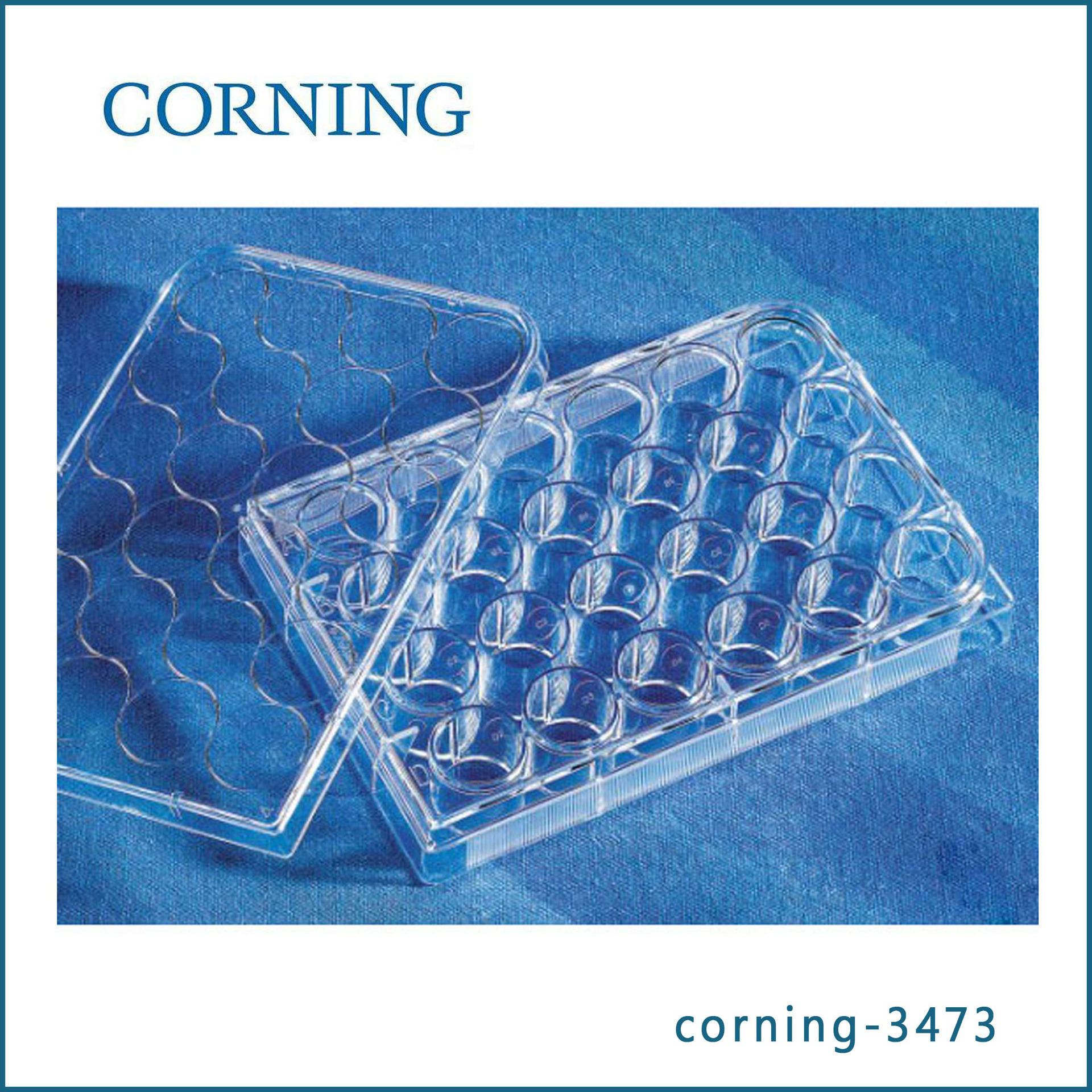 康宁 Corning 3473 24孔超低吸附微孔板，带盖，单个包装，灭*