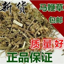 批马鞭草 铁马鞭 马边草 马鞭草 100-500克 新货包邮