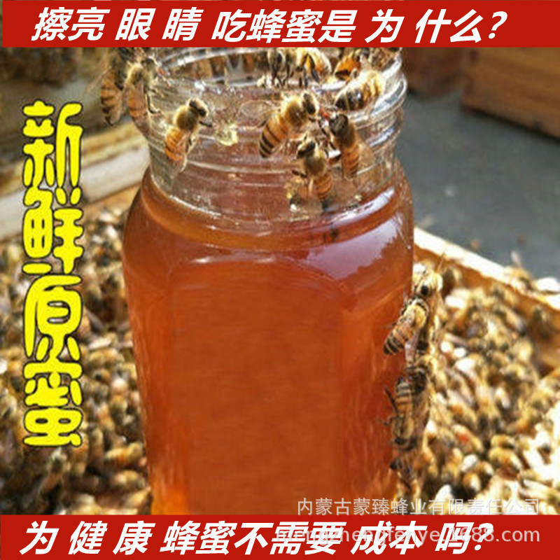 蒙臻蜂蜜供应农家自产原生态蜂蜜百花蜜葵花蜜500g内蒙土特产蜂蜜