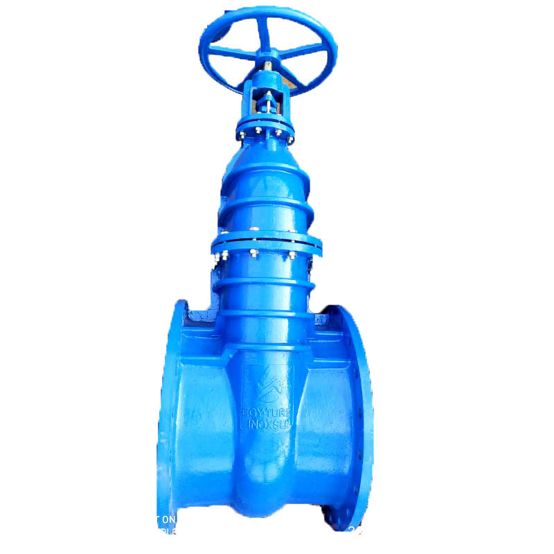 隆尧大口径阀门厂家供应Z45T Z41T大口径铸铁阀门螺纹耐腐