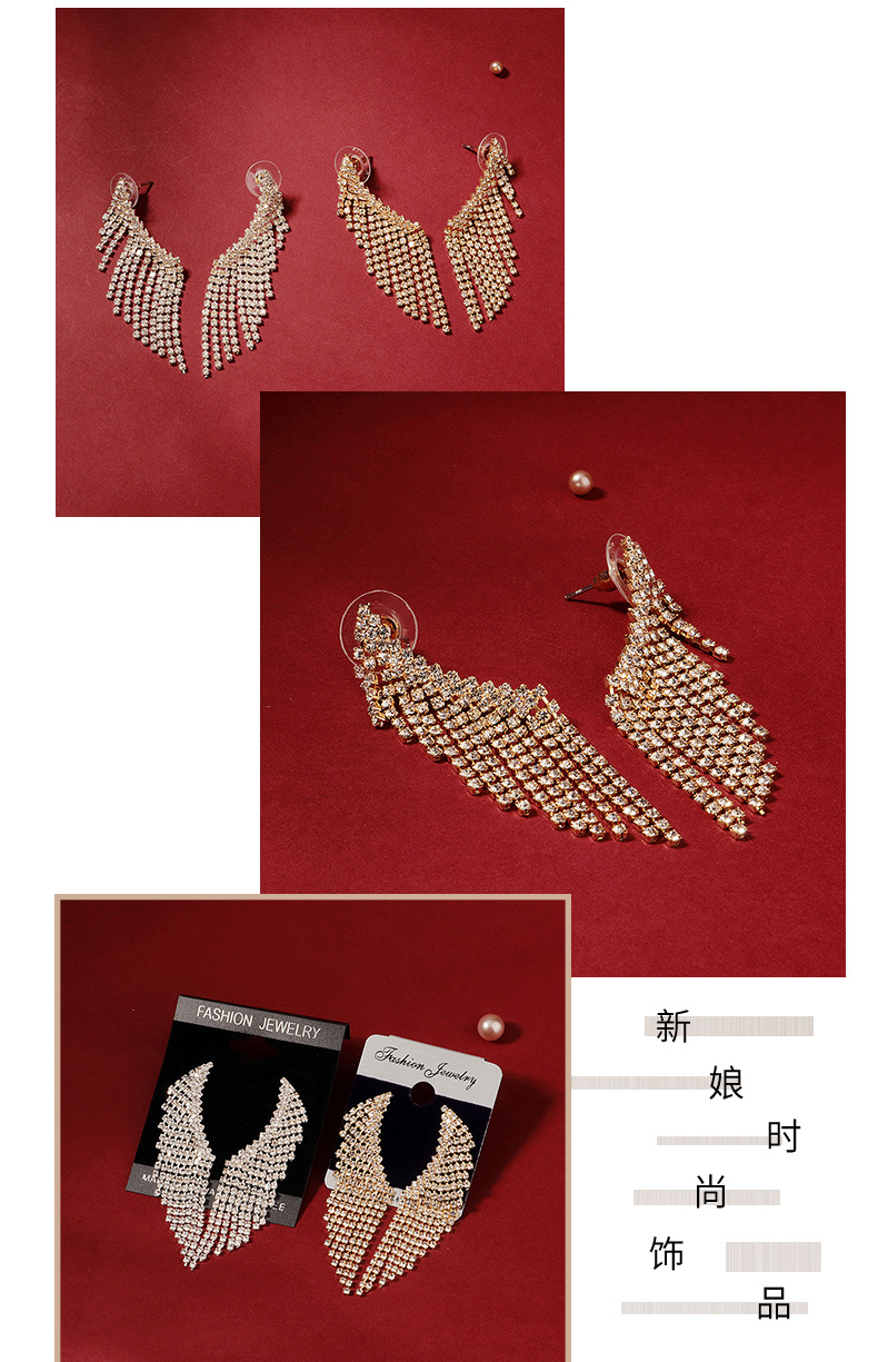 New Fashion Butterfly Wings Tassel Earrings Wholesale display picture 1