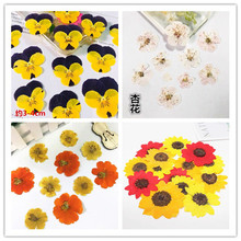 DIY��޹Ϟ�T���� �滨���仨��ֲ��� �滨�Ʒ�������z������