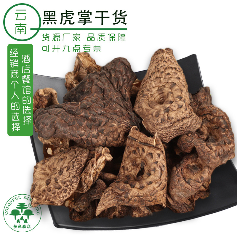 黑虎掌菌菇干货云南野外生长黑虎掌菌肉质厚挑选货4cm楚雄黑虎掌