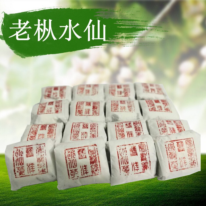 Golden Dragon Pot New Tea Zhangping Shuixian Tea Traditional Craft Charcoal Roasted Shuixian Tea 455 Yuan Honeyed Osmanthus Fragrance Golden Dragon Pot New Tea Zhangping Shuixian Tea Traditional Craft Charcoal Roasted Shuixian Tea 455 Yuan Honeyed Osmanthus Fragrance