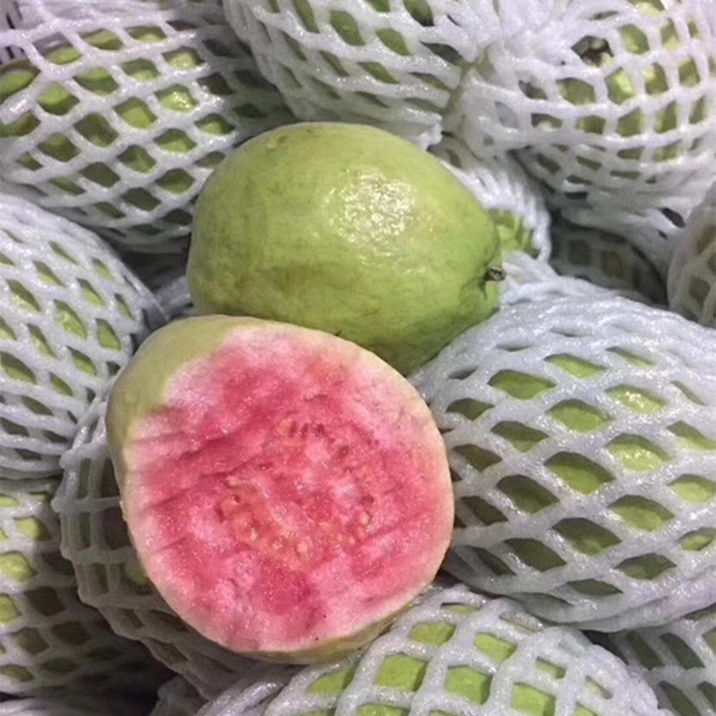 3364046b1394b63e0db2a78ae87288