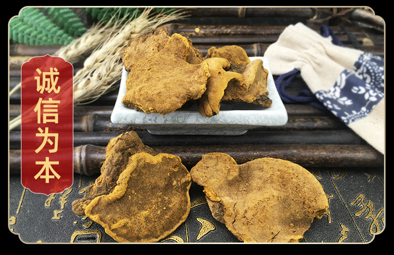 Sang Huang Mulberry Yellow Fungus Loose Dried Phellinus for Traditional Herbal Decoction 500g in use