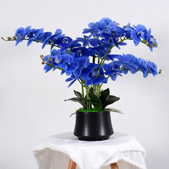 手感膠片仿真蝴蝶蘭花藝盆景家居客廳桌面輕奢裝飾擺設假花盆栽