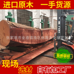 ���l �M�ڷ��޼t�Fľ �󏽼t�Fľ�A�� �t�Fľԭľ ��Ҏ��