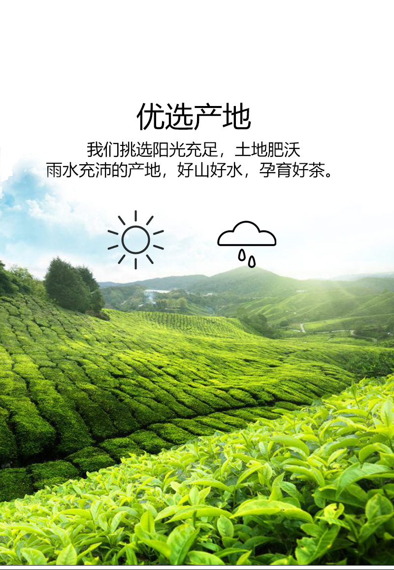 青心冻顶乌龙详情页_08