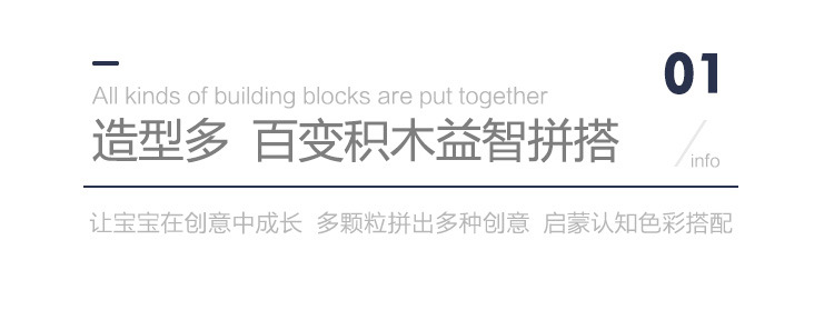 拼装大颗粒积木 (5).jpg