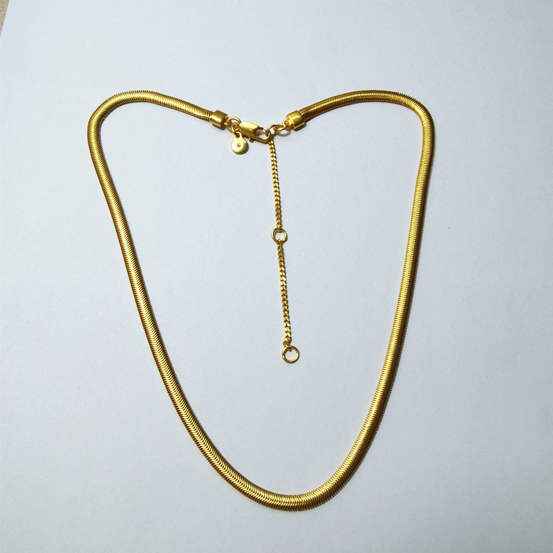 Designer Element Snake Bone Necklace Minimalist European and American Basic Collar Metal Short Necklace_voghion.com