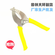 ��h�������h�����h������ľ���ѭh����Ƥ���@�ֹ��@�h����