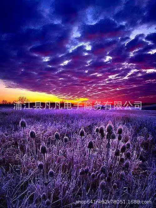Европейские и американские хиты продаж, новая современная декоративная картина для гостиной, пейзаж, закат, дерево, алмазная живопись, кросс-бортёр, поставщики, оптовая продажа