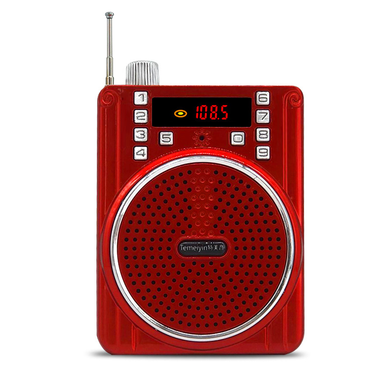 Special Beauty Sound 303 Bluetooth Speaker Honeybee Teacher Use Professional PA System Elder Street Music Player