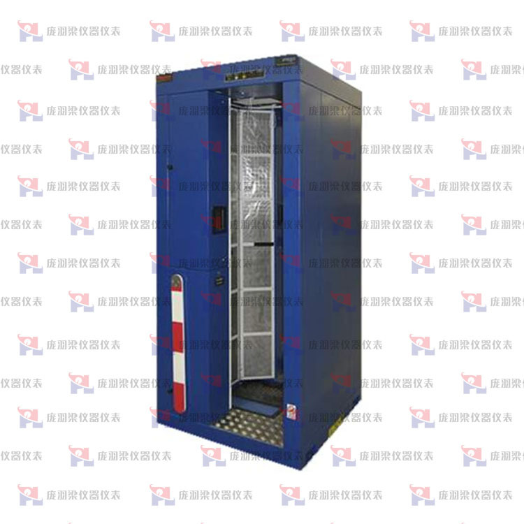 赛默飞世尔Thermo Scientific? IPM9X全身表面污染监测仪