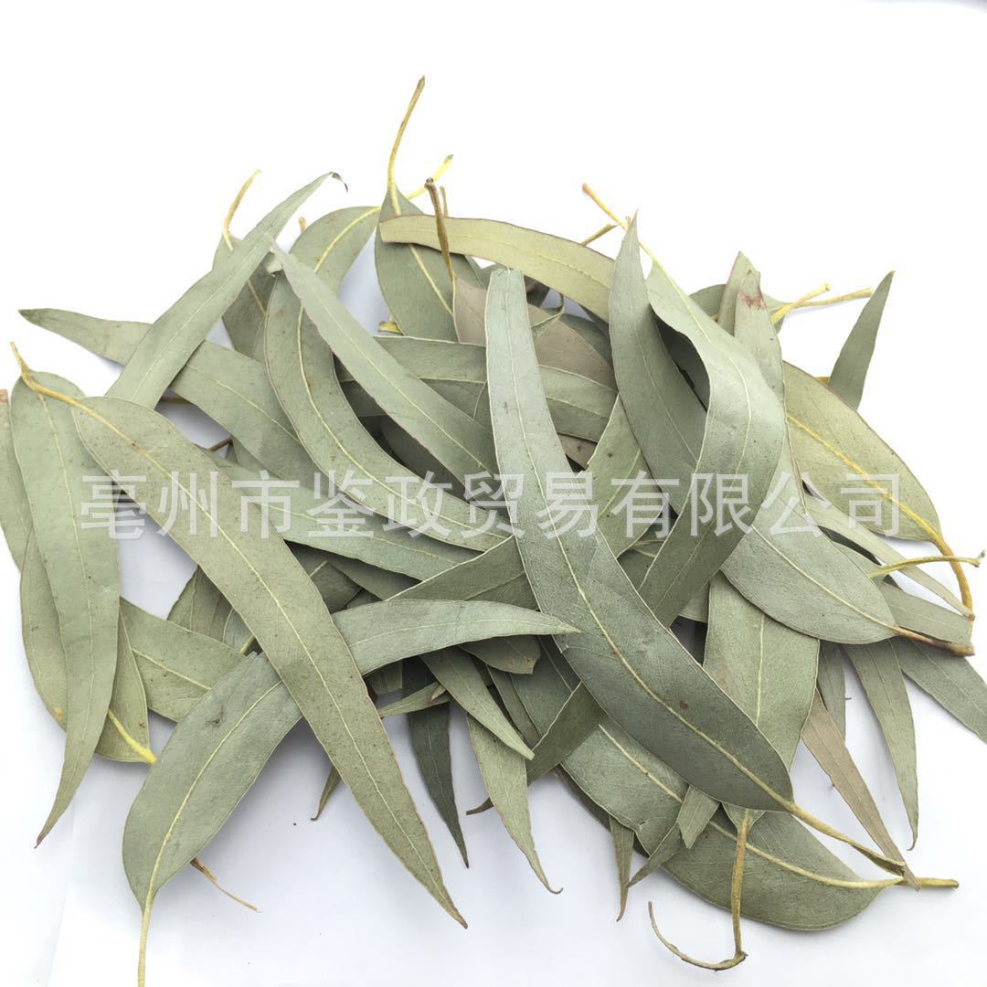 Dried Eucalyptus Leaf An Ye Bulk Herbal Tea Ingredient Sun Dried 500g quality and texture