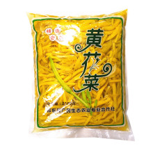 5斤包邮 菜新鲜金针菜凉拌菜火锅麻辣烫酒店无硫商用食材