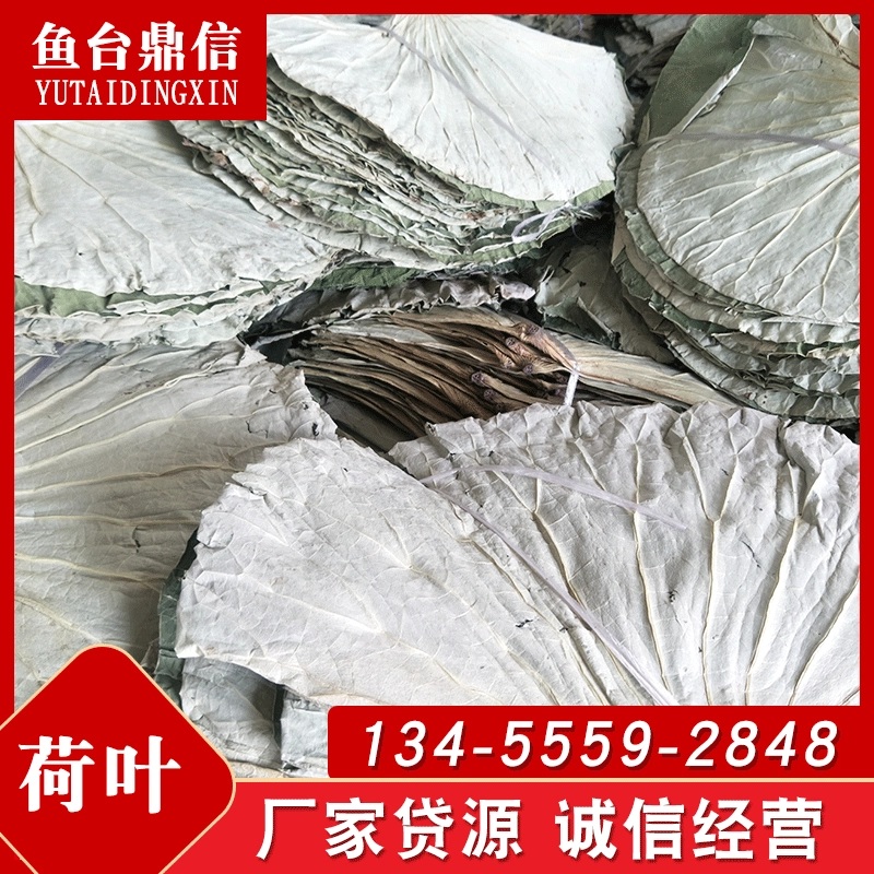 [Лист лотоса] оптом сушеный лист лотоса вторичный маленький тонкий лист лотоса цельный сушеный лист лотоса может быть многоцелевым использованием сушеный лист лотоса