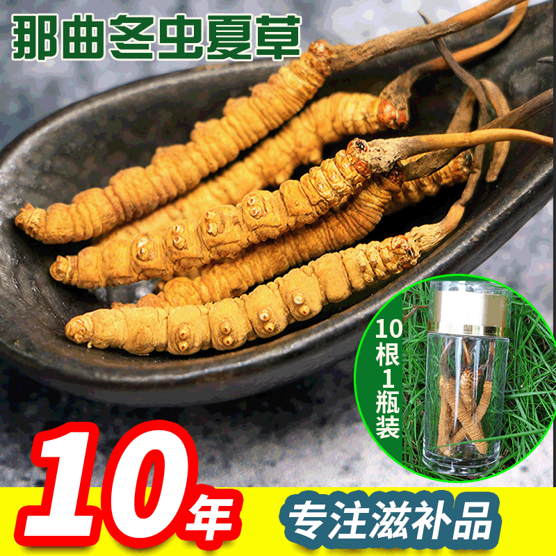 bottled Nagqu Cordyceps 5 Cordyceps 41 Cordyceps Tibet Place of Origin wholesale