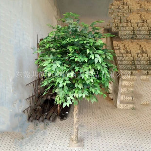 ��U����С�Ř� �겼�~�G�� �҃���[���辰ֲ��С�����~���L����