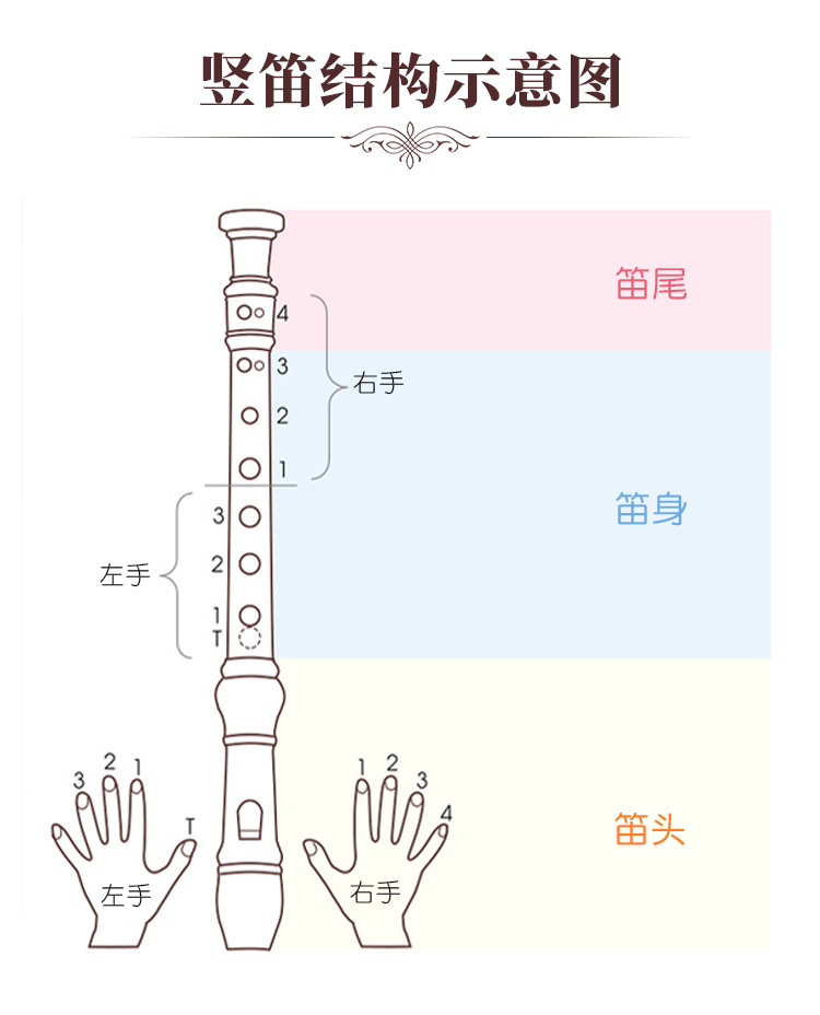 天鹅竖笛 儿童初学入门可拆卸竖笛吹奏学生6孔8孔C调德式高音竖笛详情10