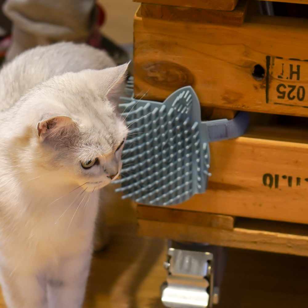 猫咪硅胶蹭痒板 (26).jpg