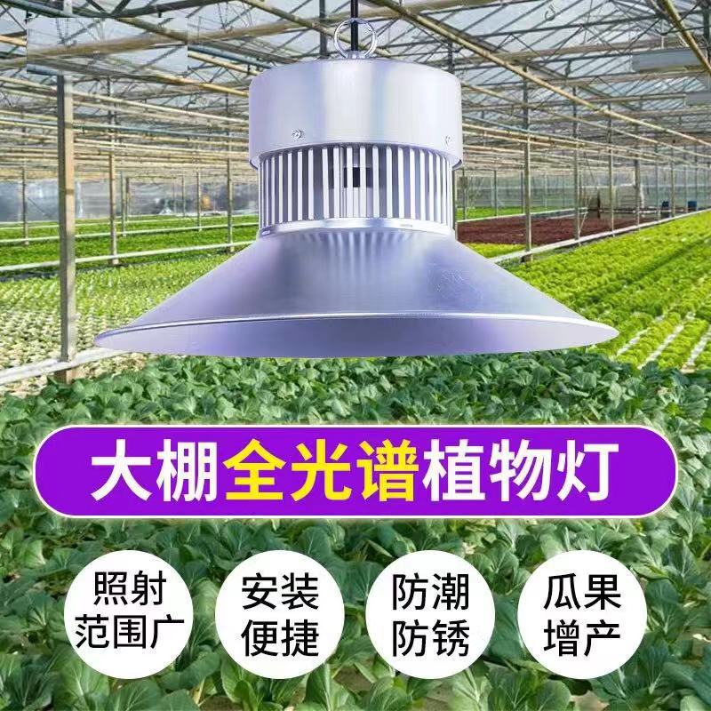 源頭廠家植物生長燈全光譜LED室內大棚補光燈50W100W育苗補光