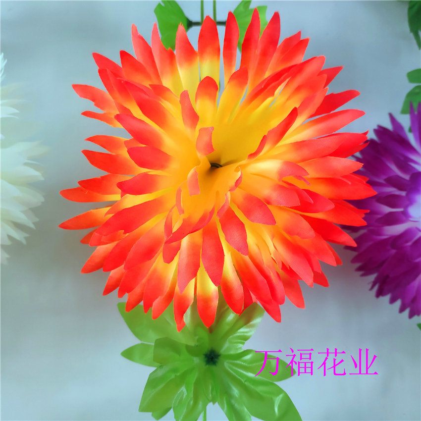 新建文件夹 (2)IMG_20200515_141326.j