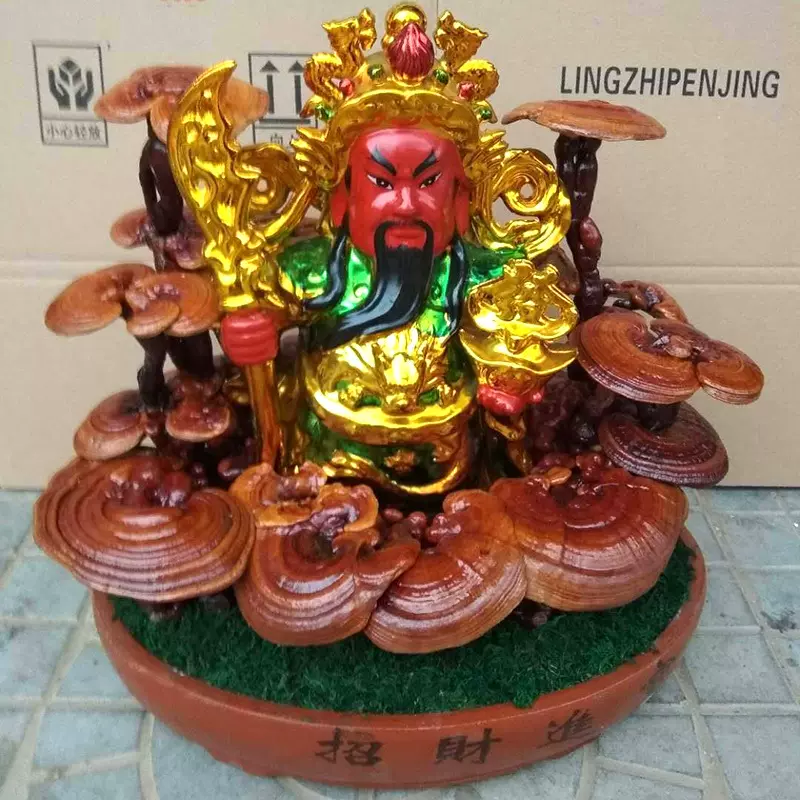 灵芝盆景批发 灵芝艺术盆栽供应 绿植办公室摆件