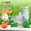 Green sticky glue Bamboo charcoal Odor Basement membrane suit Stick wallpaper wallpaper Qiangbu Children&#39;s Room Dedicated accessories