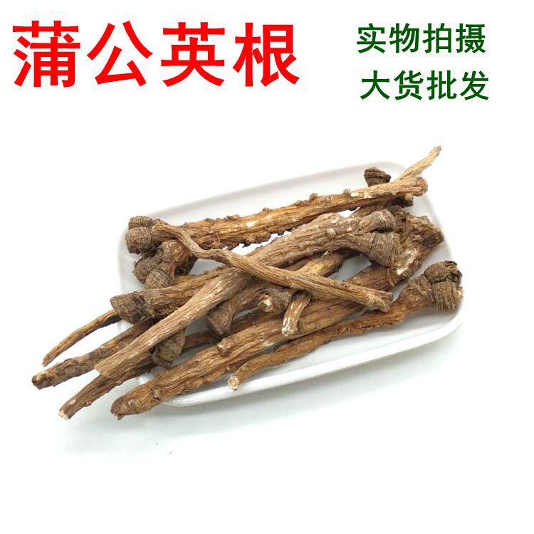 批发 蒲公英根 各种规格 干婆婆丁根 公英根 公映根