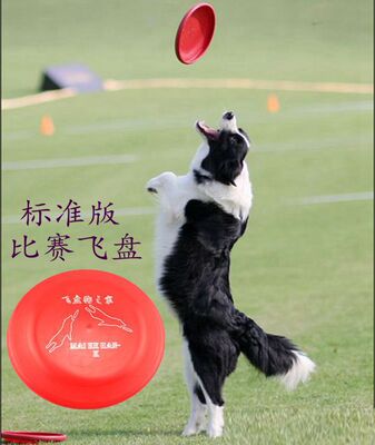 Frisbee Dog Frisbee Edge of husbandry Frisbee Pet Toys Frisbee standard match Frisbee Dog Frisbee Dog Toys