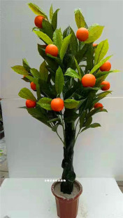 �������ӹ������ĵ���������G�����������k���Ƶ��bG��