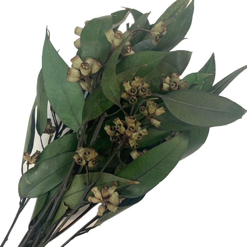 微信图片_20200427131535