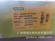 HSP-384 �װ� CLR/CLR 50/BX
