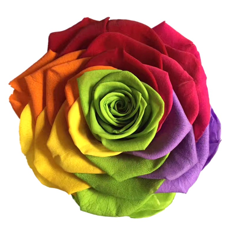 微信图片_20200411232522