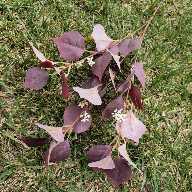 菩提叶2号酒红色