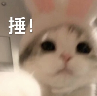 —————031803实拍 梭织卫裤男女同款！