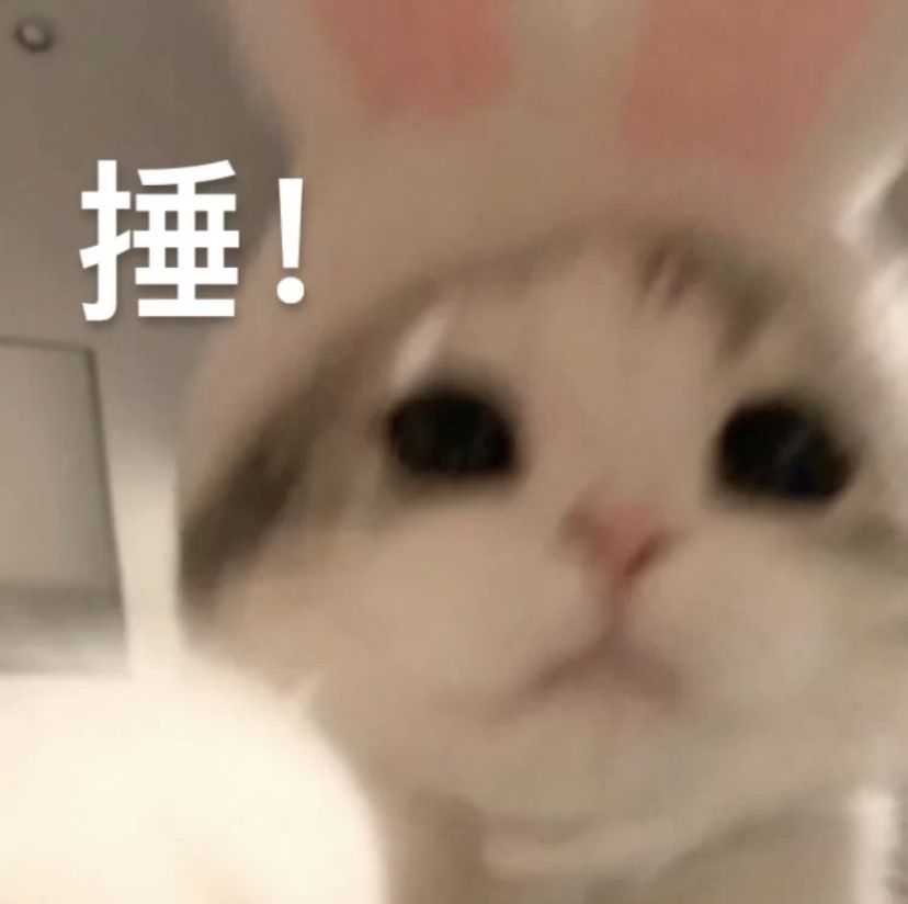 —————031803实拍 梭织卫裤男女同款！