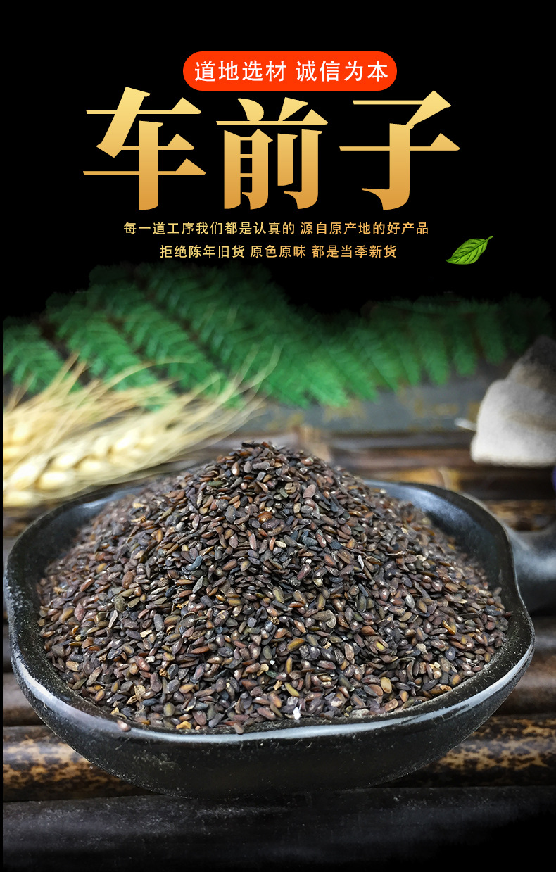Dried Plantago Seed Che Qian Zi Bulk Raw Herb 500g New Crop Loose Seeds key features