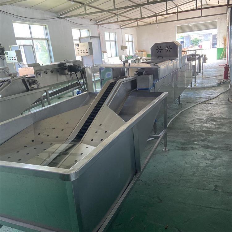 供应商用麻酱蛋清洗机 食品机械厂家自产自销小型洗蛋机